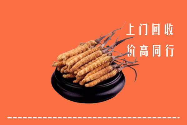 高价求购：吕梁兴县回收散虫草