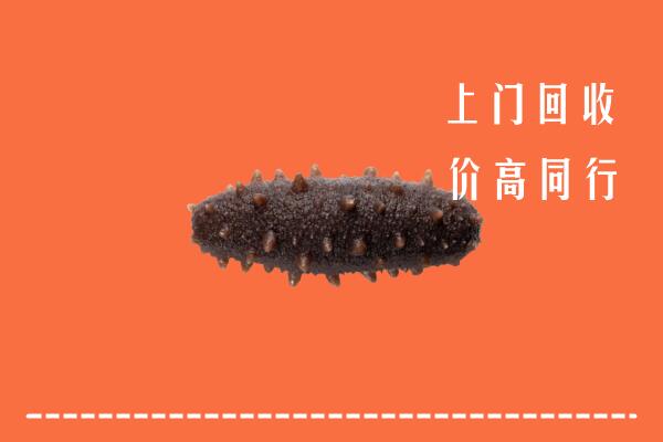 高价求购：吕梁兴县回收海参