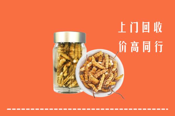 吕梁兴县回收冬虫夏草